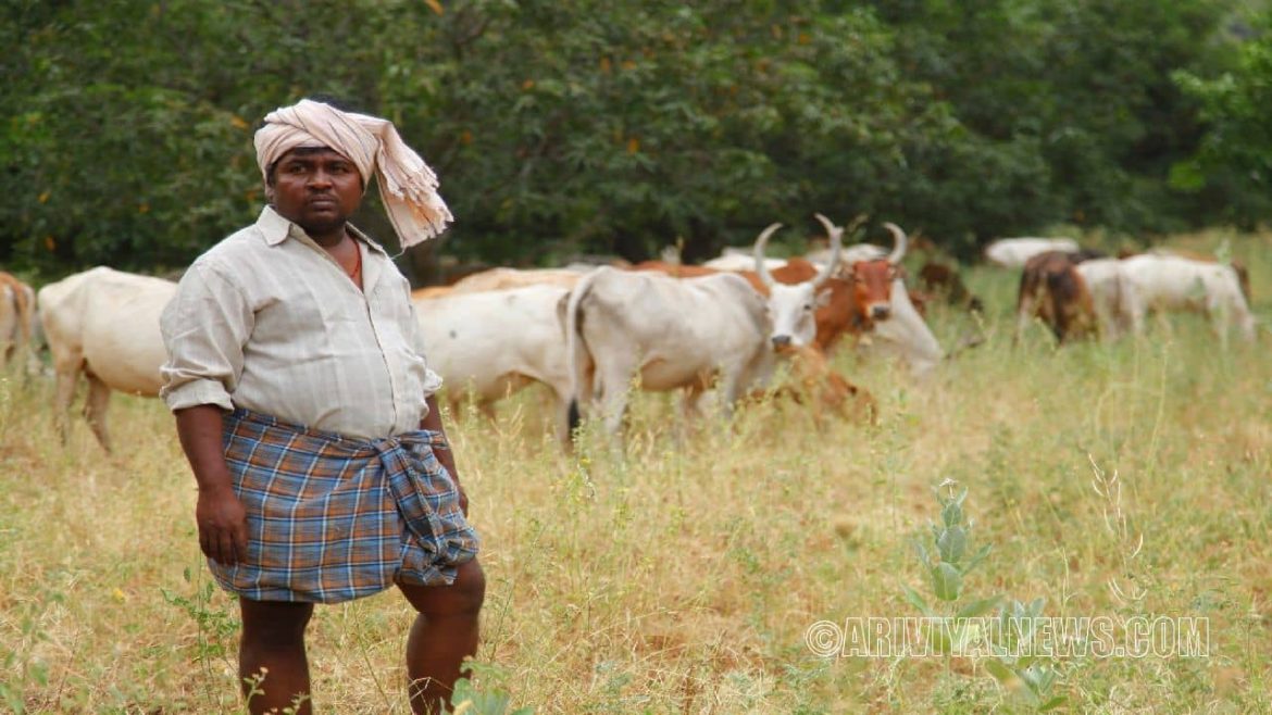 Actor Appukuttys pathetic condition this is Appukutty seen in the movie !!! Actor Appukuttys pathetic condition this is Appukutty seen in the movie !!!