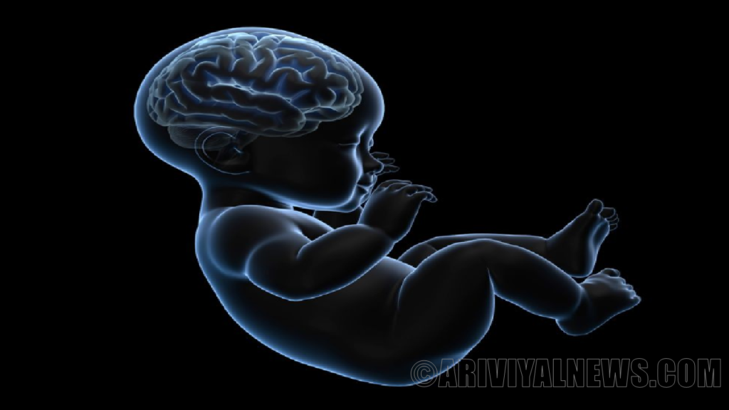 Covid-19 infection causes brain damage in fetuses