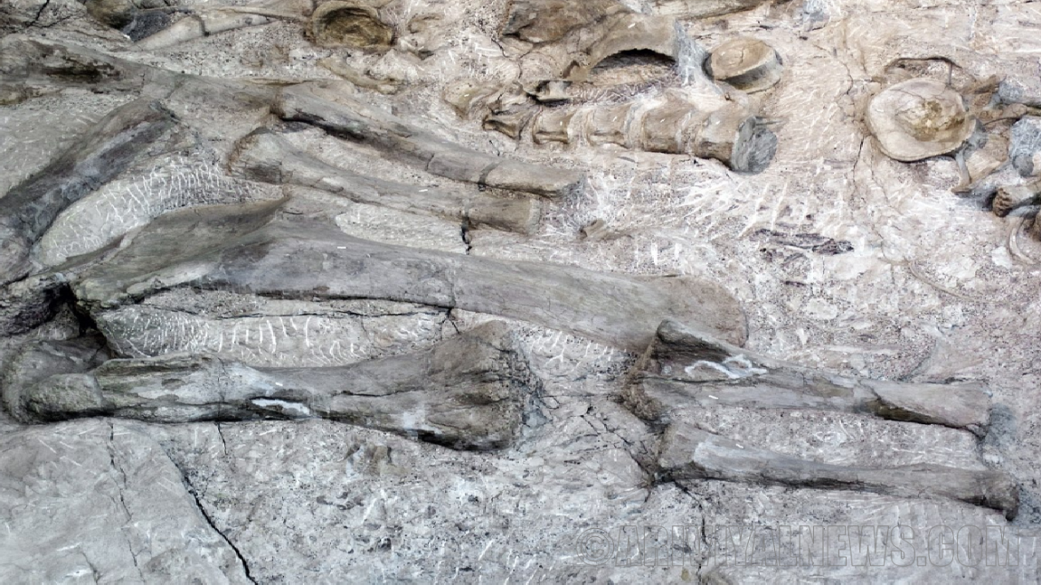 Dinosaur Secret Rock