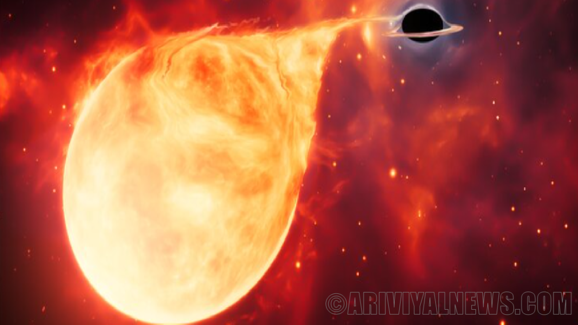 Elusive black holes Elusive black holes
