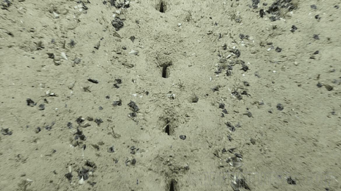 Strange hole in the sea floor