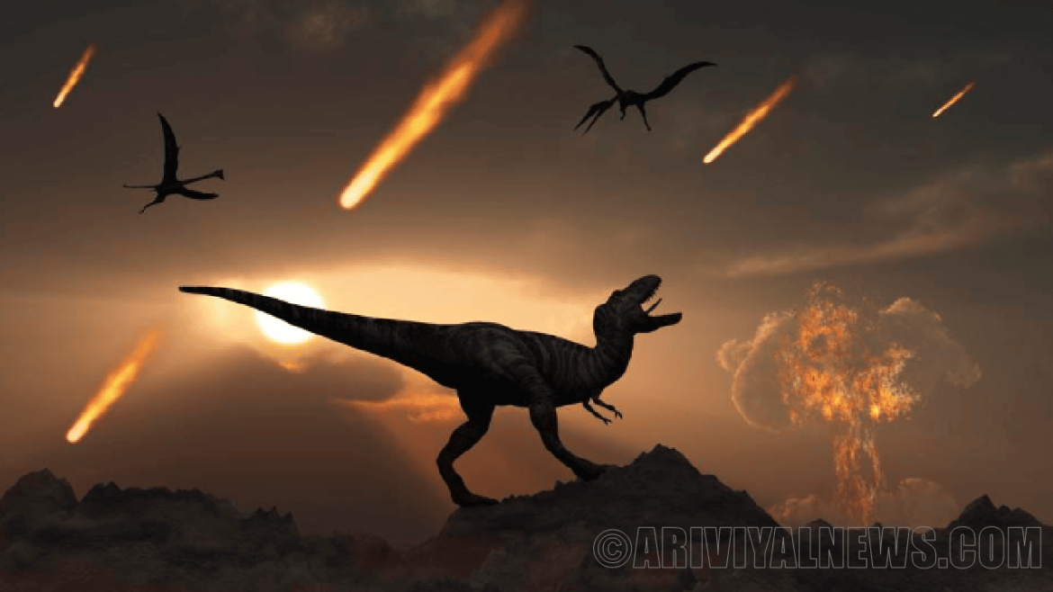 The asteroid that killed the dinosaurs The asteroid that killed the dinosaurs