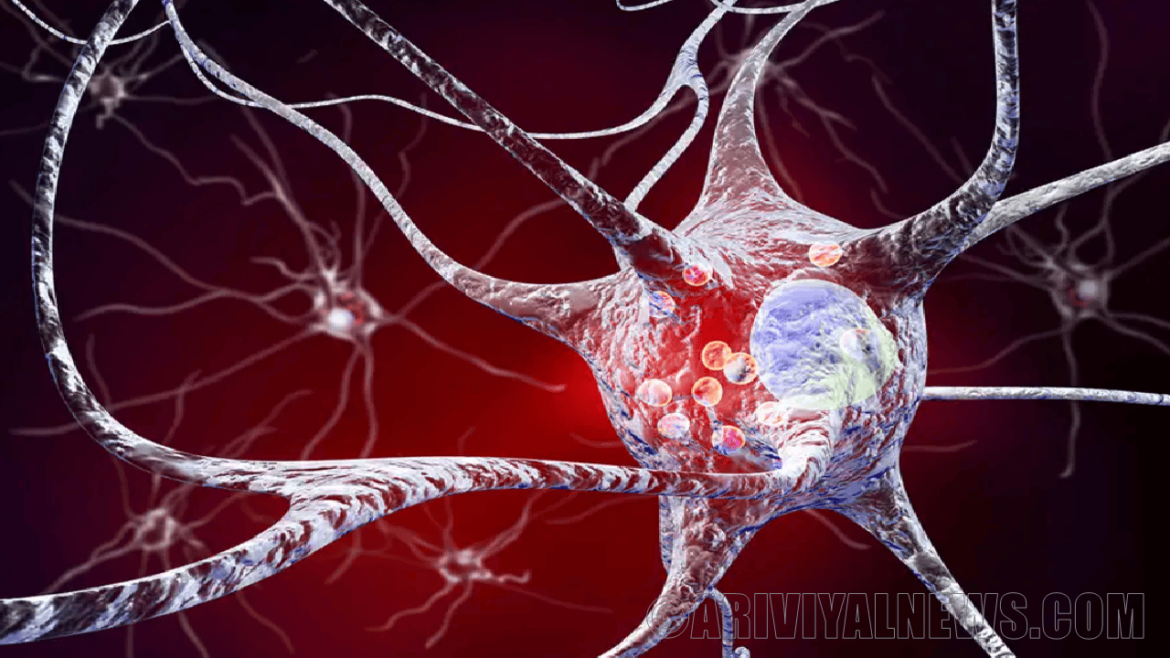 Discovered a possible cause of parkinsons disease