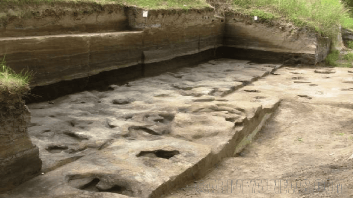 Discovered old human footprint