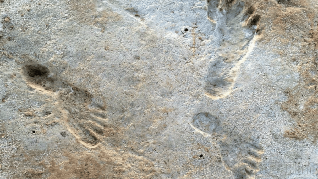 Discovered old human footprint