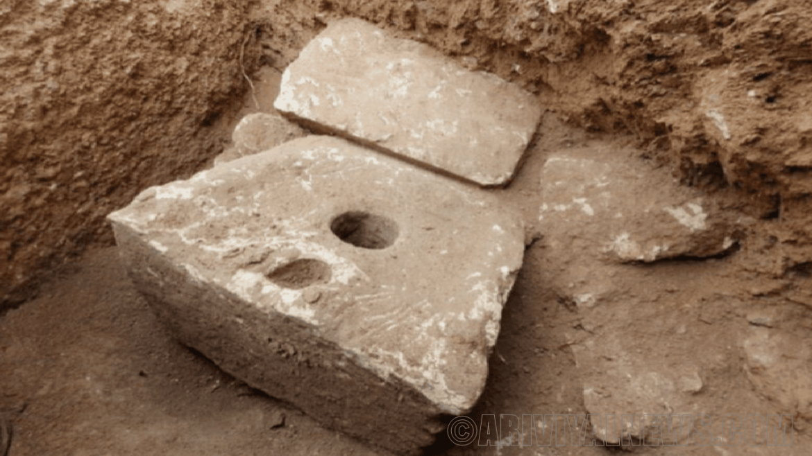 Discovered traces of the diarrhea causing parasite