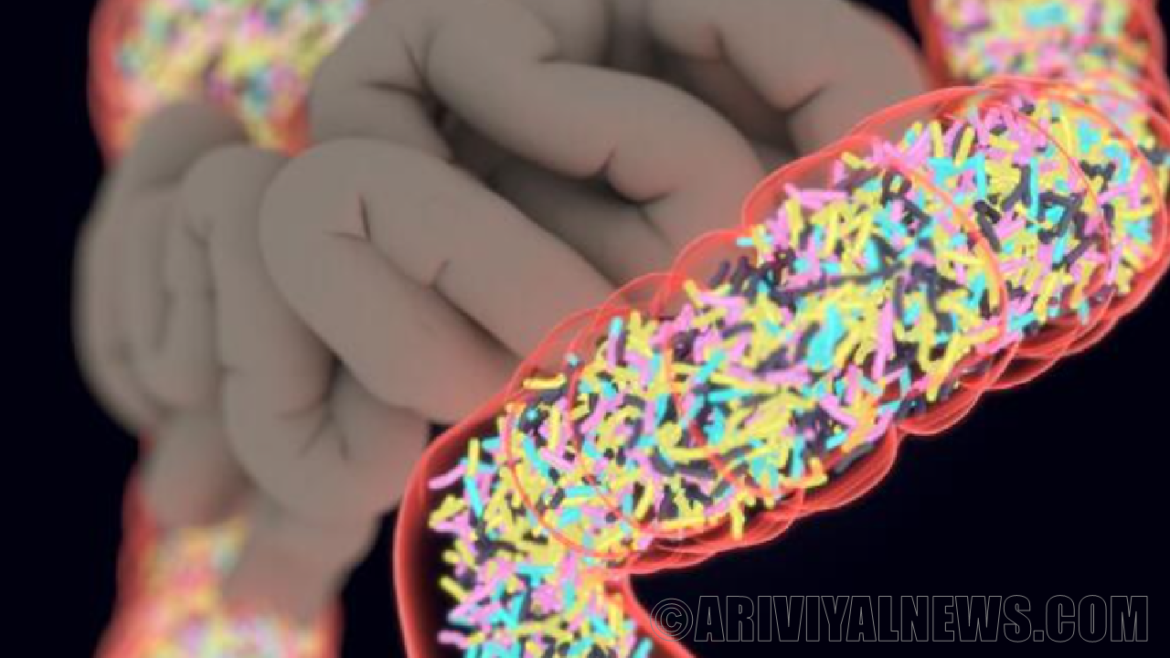 First pill made from human feces