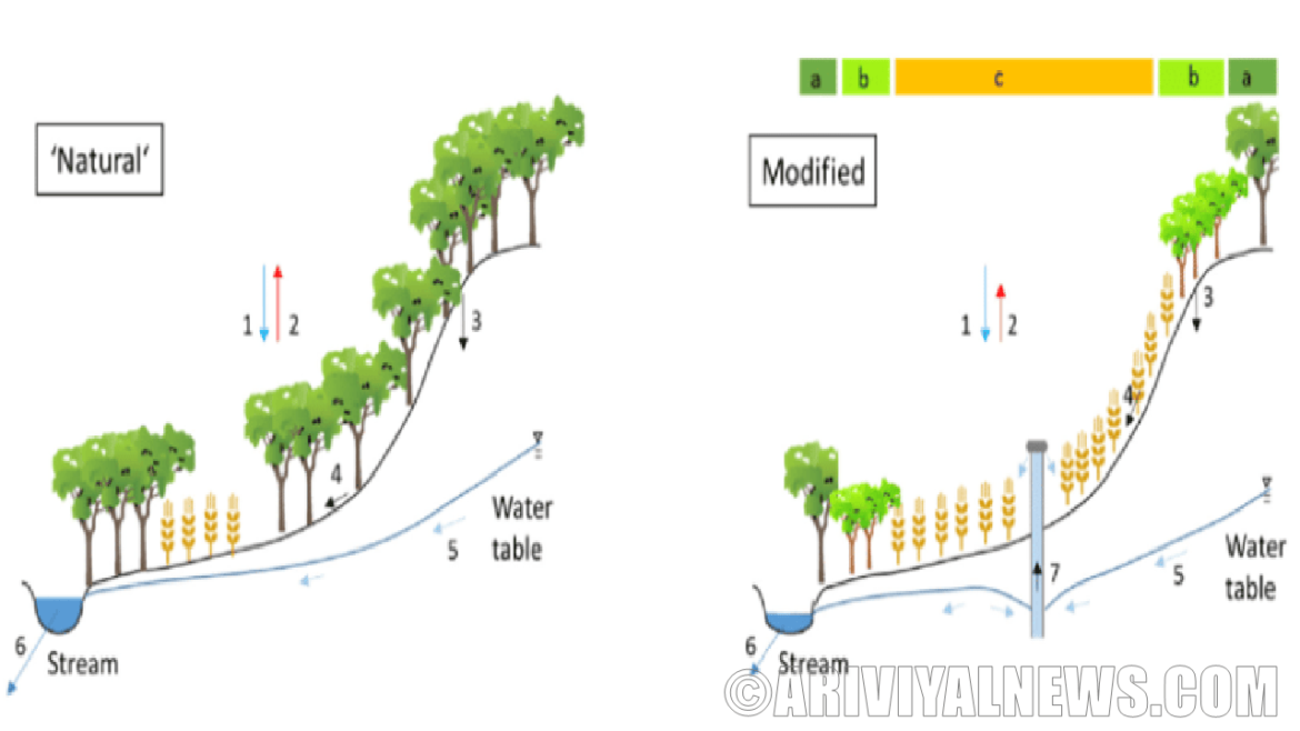 Linking land use changes to hydrology