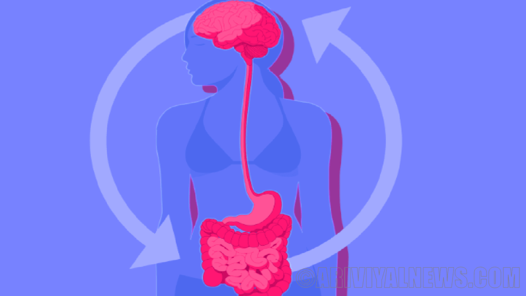 The chronic stress caused gut issues