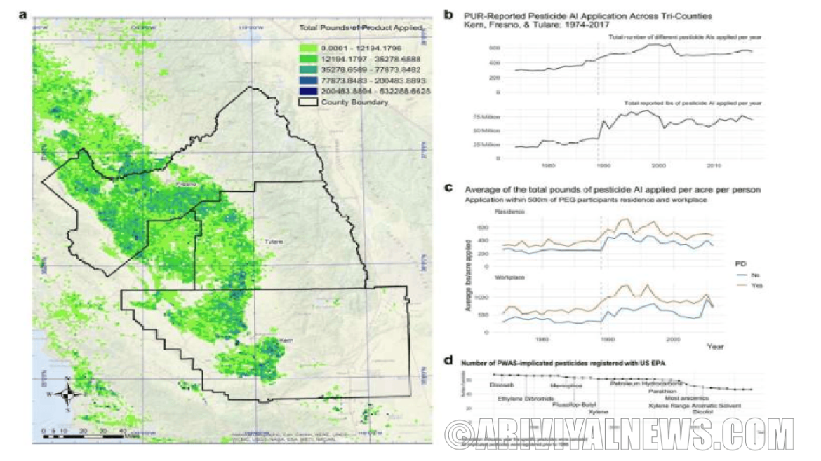 The neurons in parkinsons