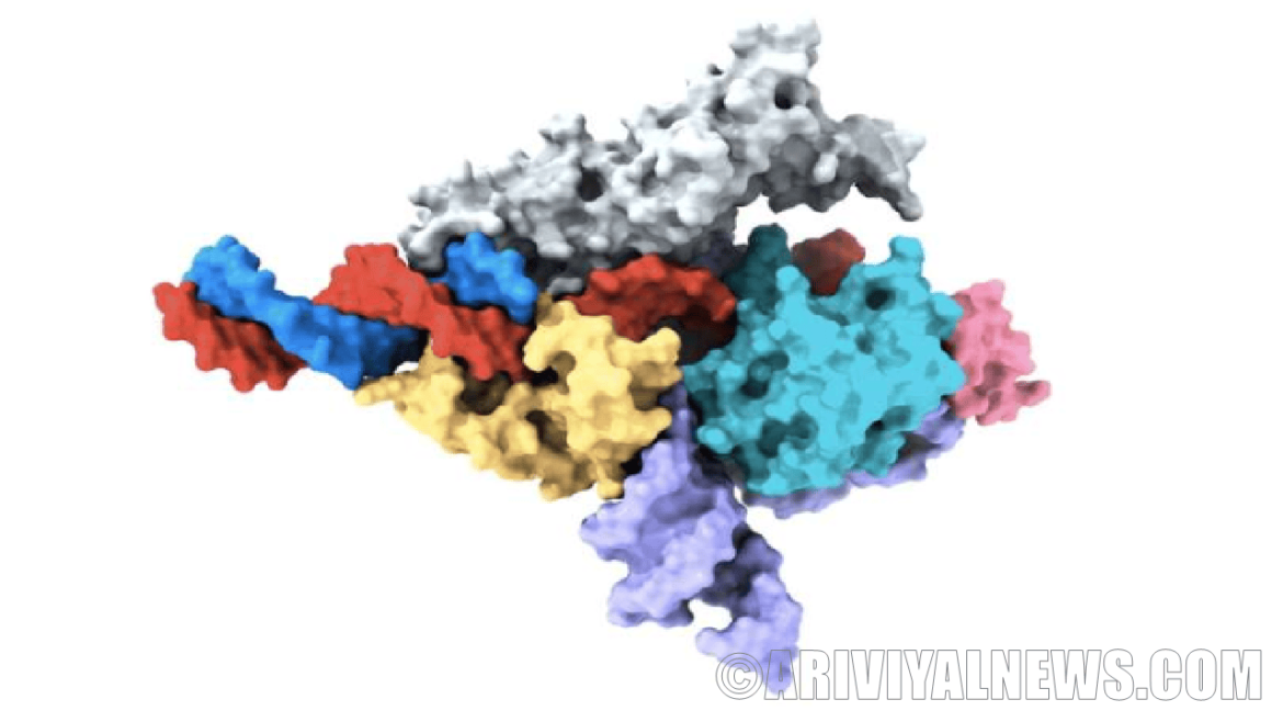 Discovered the new crispr