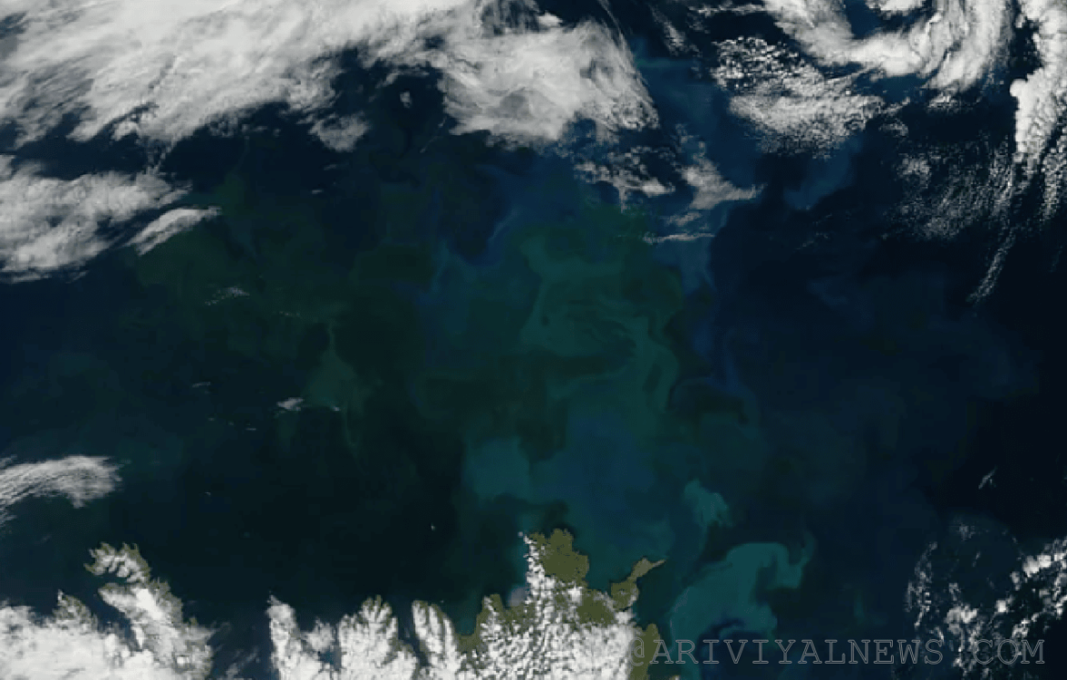 Climate change changing the color of oceans