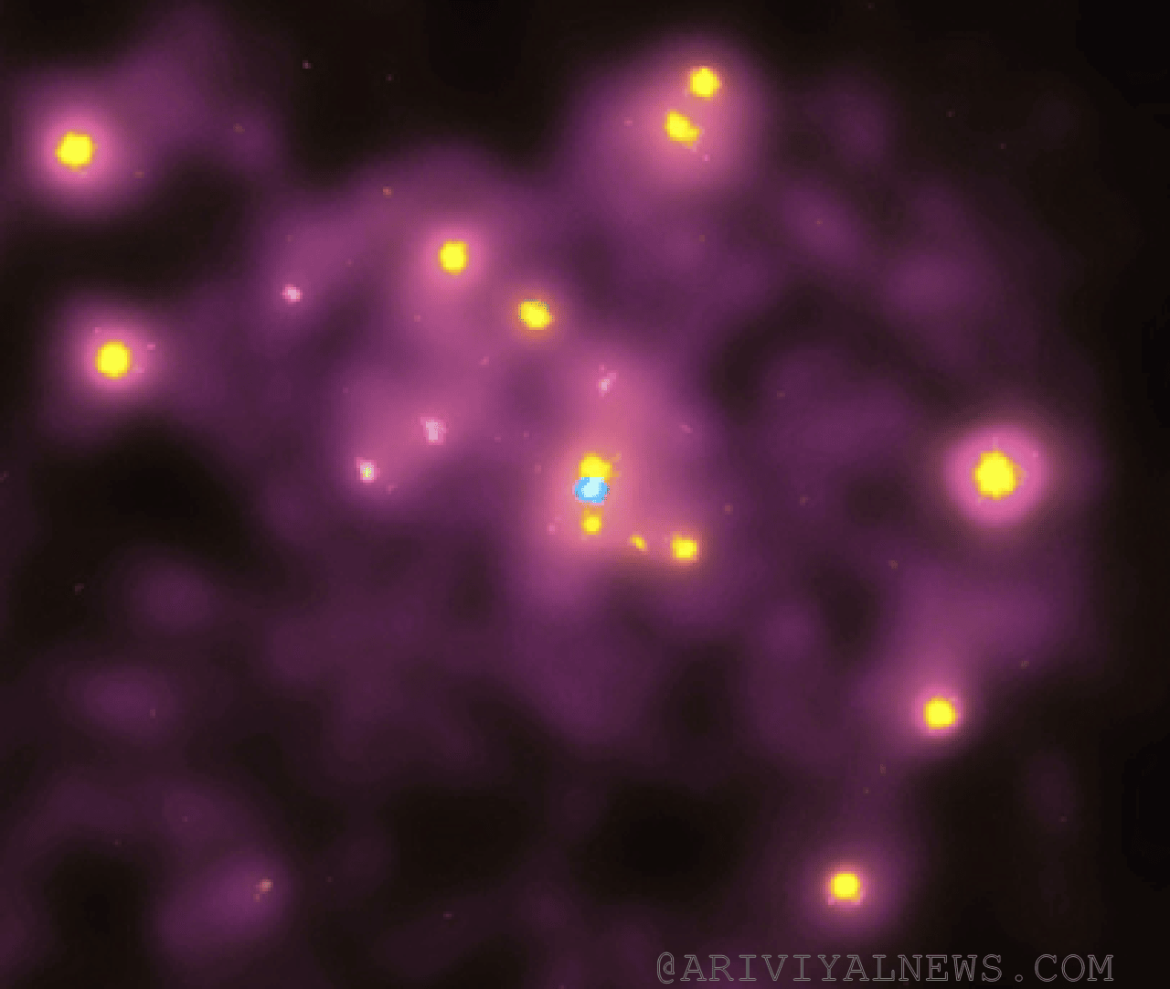 Photons light on dark matter